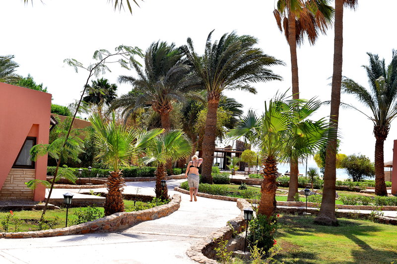 Hotell Eagles Paradise Abu Soma Resort i Hurghada, Egypten - Bild 16