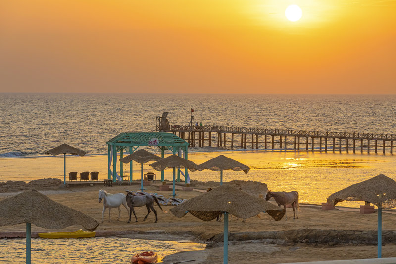 Hotell Radisson Blu Resort El Quseir i Hurghada, Egypten - Bild 10