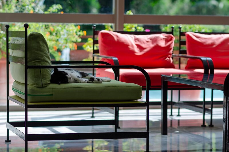 Hotell Dionysos Hotel i Rhodes, Grekland - Bild 12