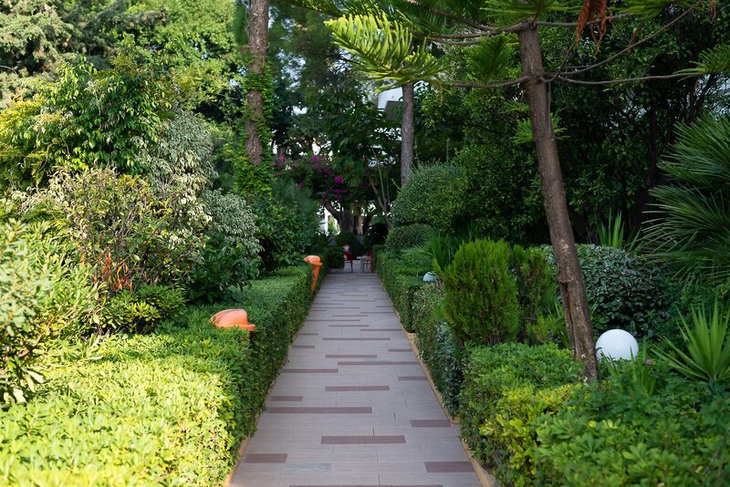 Hotell Dionysos Hotel i Rhodes, Grekland - Bild 15