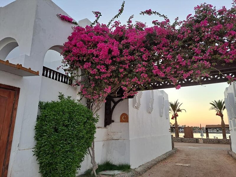 Hotell Arabella Azur Resort i Hurghada, Egypten - Bild 42