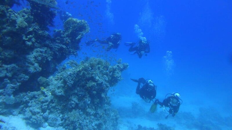 Hotell Xperience Sea Breeze Resort i Sharm El Sheik, Egypten - Bild 36