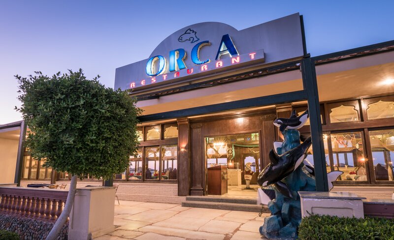 Hotell Sunny Days Palma De Mirette Resort & SPA i Hurghada, Egypten - Bild 30