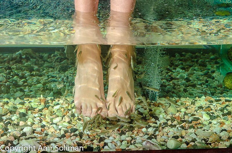 Hotell Titanic Resort & Aqua Park i Hurghada, Egypten - Bild 112