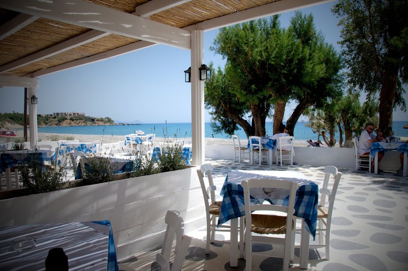 Hotell Avra Palm Hotel i Crete, Grekland - Bild 7