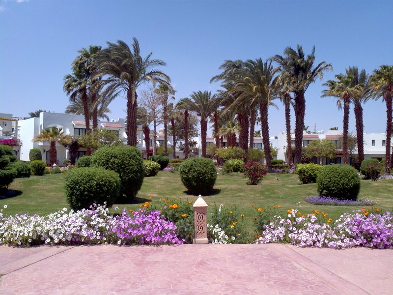 Hotell Lotus Bay Hotel i Hurghada, Egypten - Bild 13