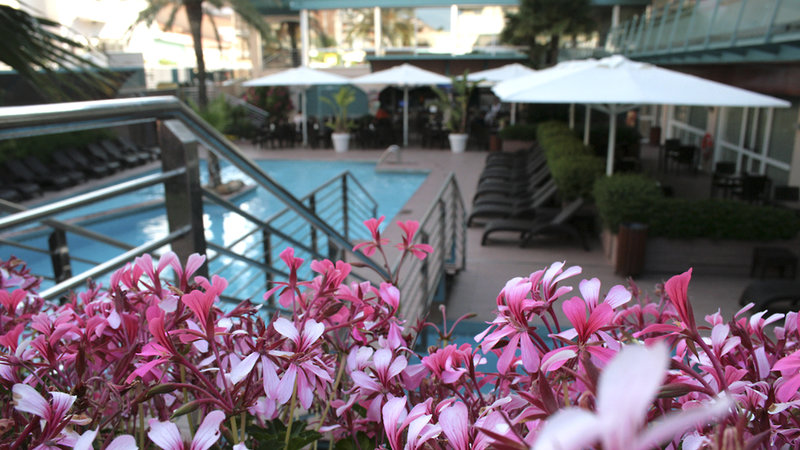 Hotell Hotel Kaktus Playa i , Spain - Bild 11