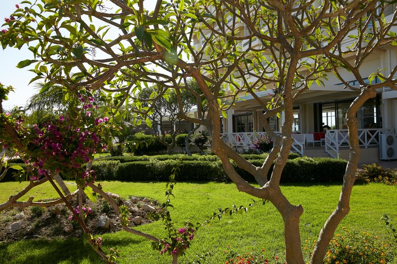 Hotell Electra Palace Hotel i Rhodes, Grekland - Bild 33