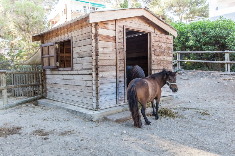 Hotell Fergus Style Cala Blanca Suites i Mallorca, Spain - Bild 107