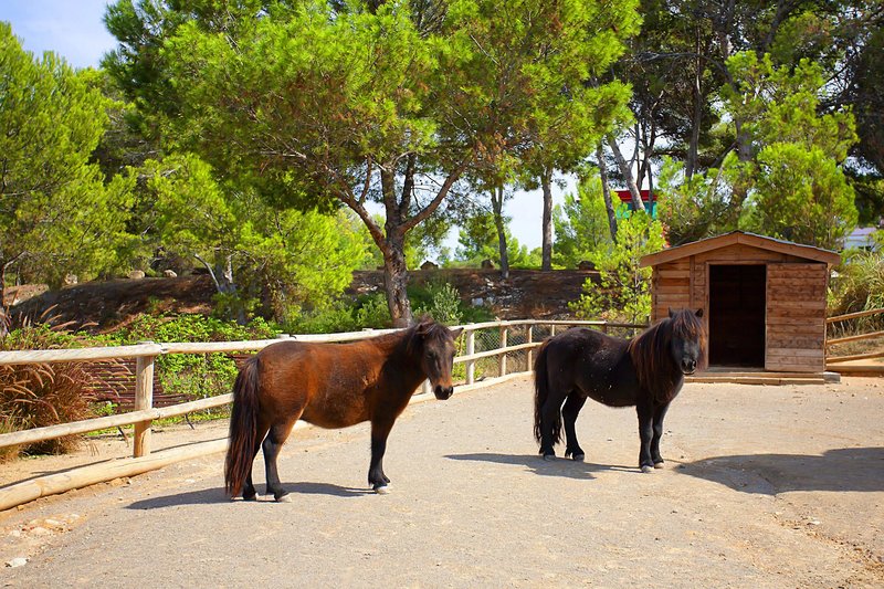 Hotell Fergus Style Cala Blanca Suites i Mallorca, Spain - Bild 109