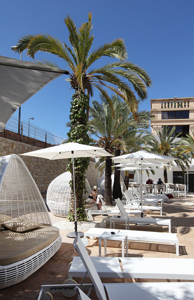 Hotell Agua Azul Hotel i Alicante, Spain - Bild 8