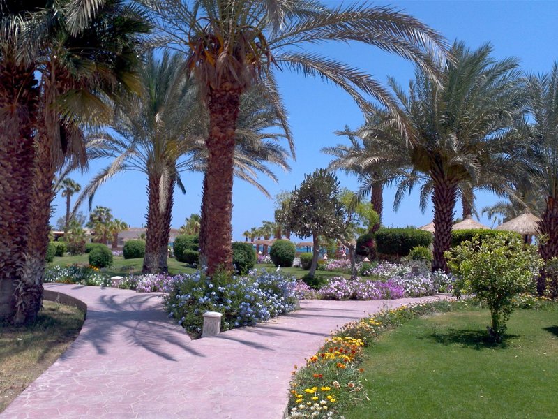 Hotell Lotus Bay Hotel i Hurghada, Egypten - Bild 16