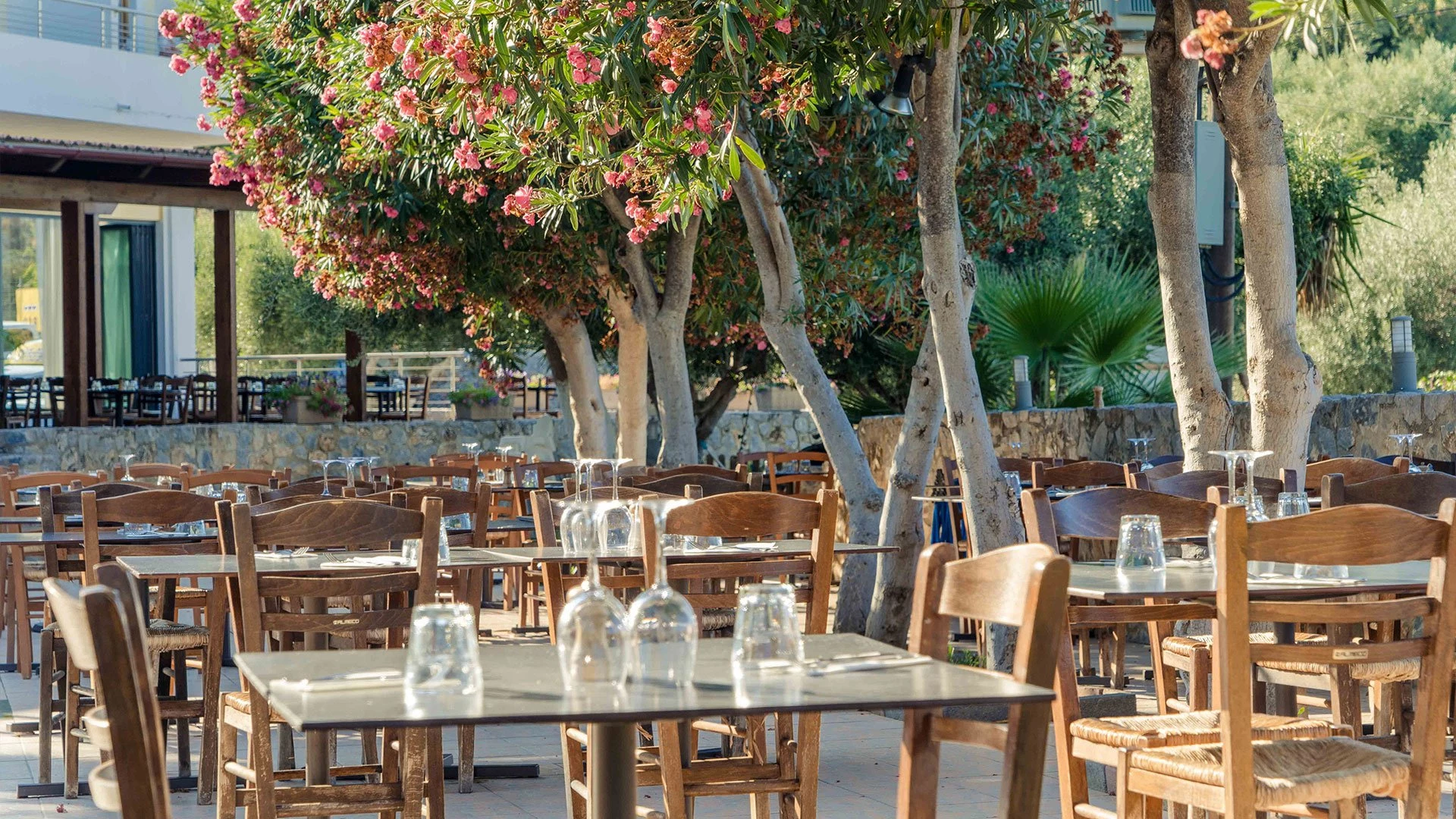 Hotell Almyrida Village & Water Park i Crete, Grekland - Bild 31