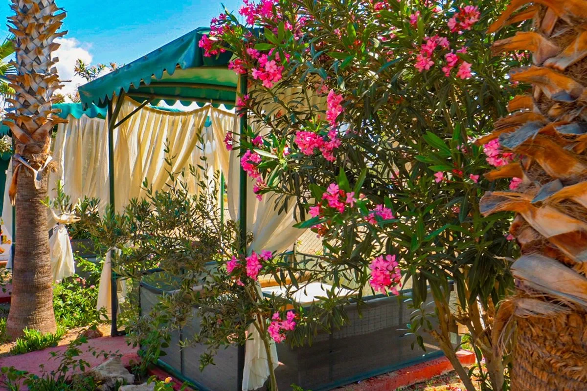 Hotell Club Wasa Holiday Village i Antalya, Turkiet - Bild 8