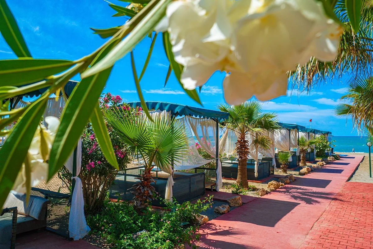 Hotell Club Wasa Holiday Village i Antalya, Turkiet - Bild 9