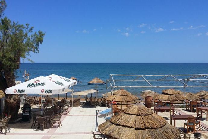 Hotell MINERVA BEACH HOTEL i Crete, Grekland - Bild 4