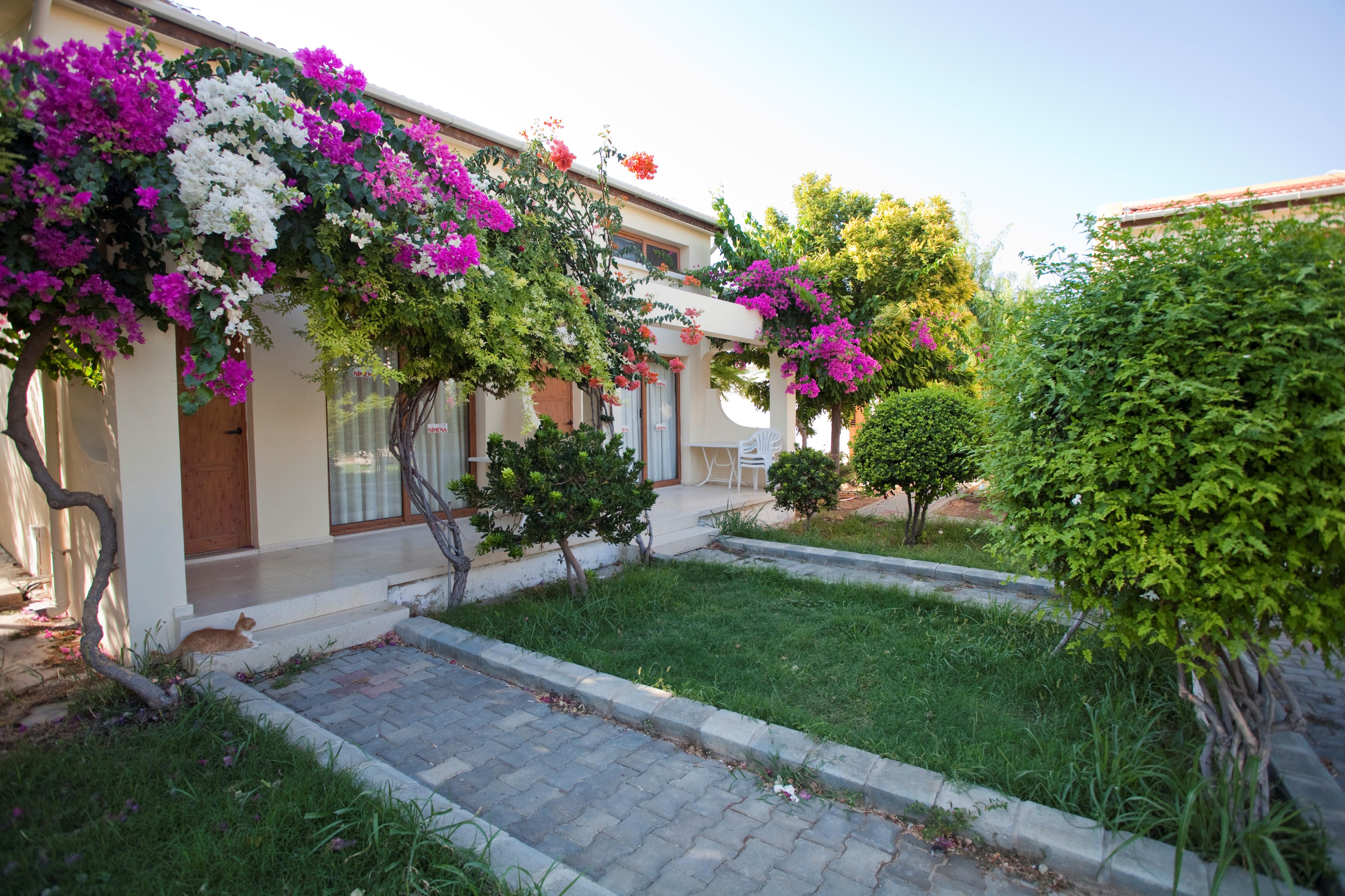 Hotell Club Simena Hotel i North Cyprus, Cyprus - Bild 14