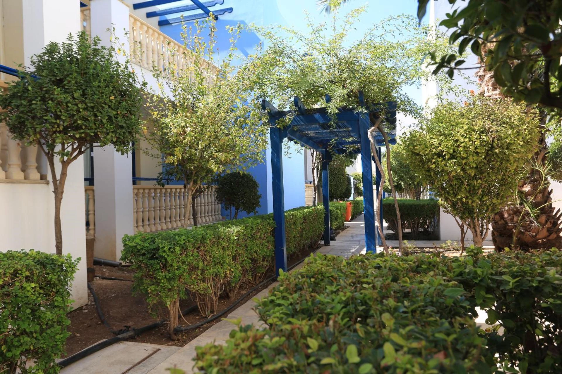 Hotell Eleni i Cypern, Cyprus - Bild 10