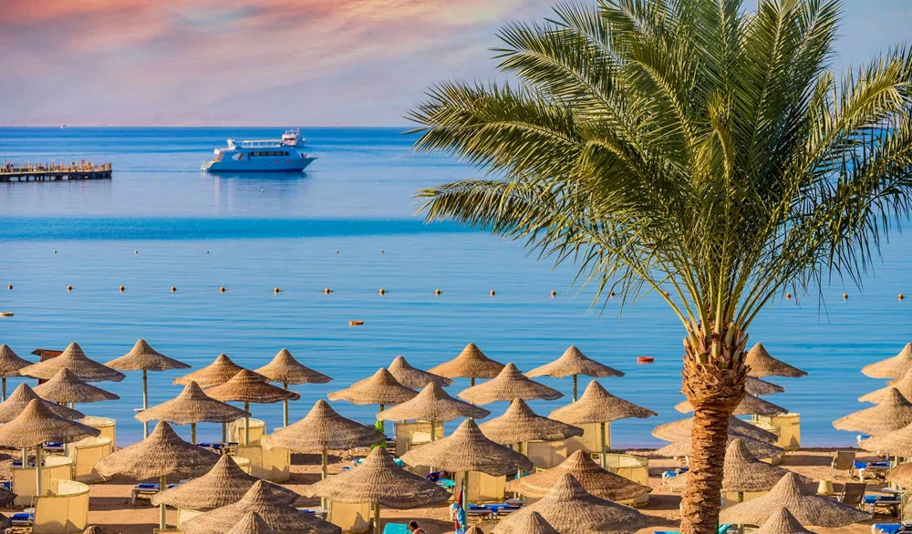 Hotell Falcon Naama Star Hotel i Sharm El Sheik, Egypten - Bild 5