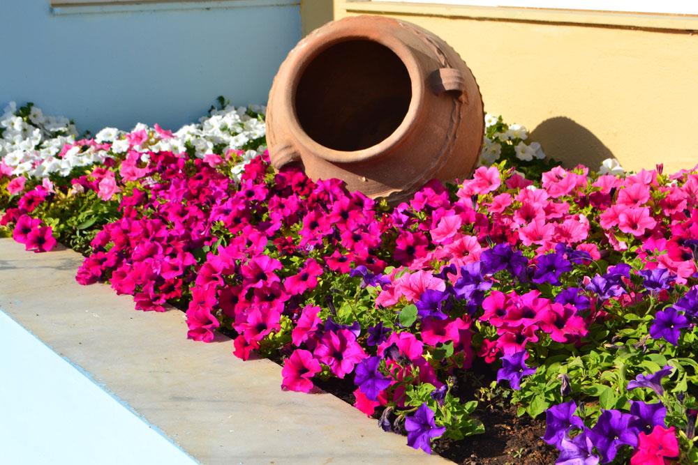 Hotell Futura Hotel i Crete, Grekland - Bild 20