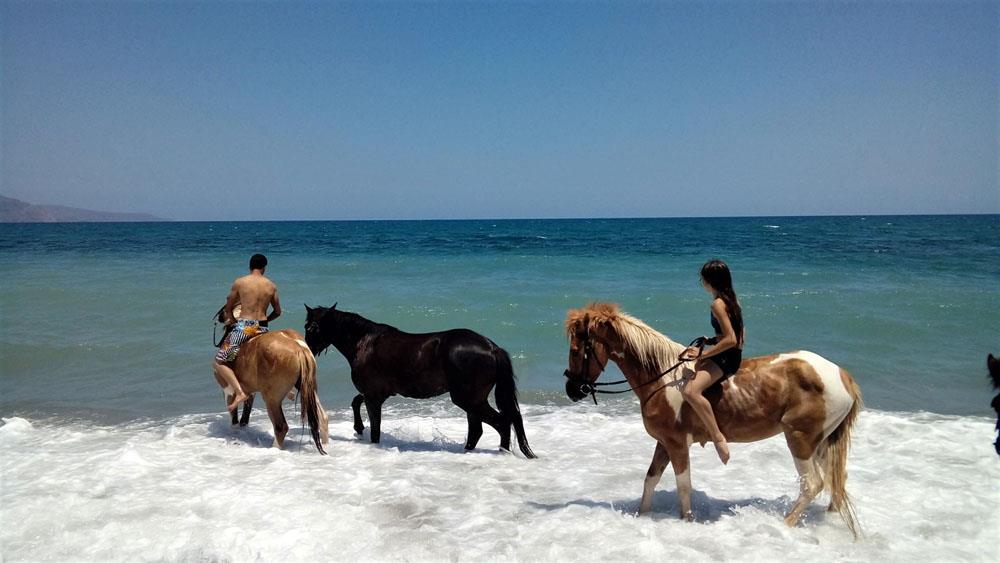 Hotell Futura Hotel i Crete, Grekland - Bild 12