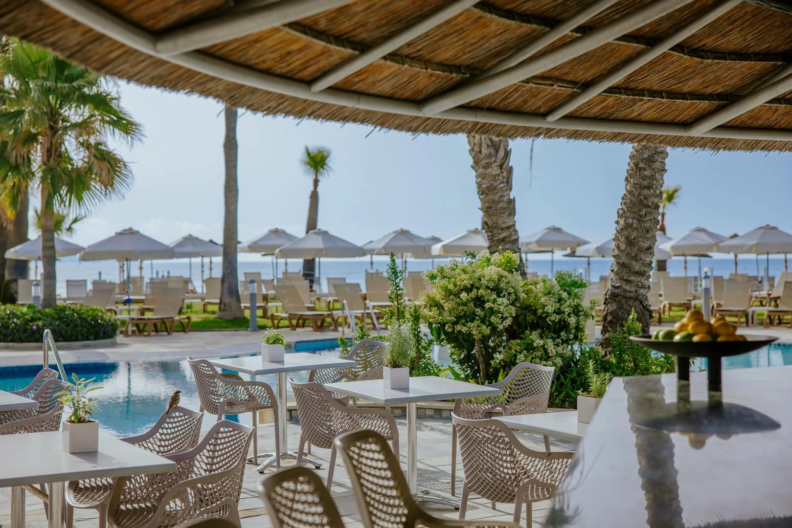 Hotell Golden Bay Beach Hotel i Cypern, Cyprus - Bild 13