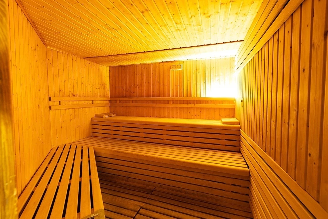 Hotell Hotel IPV Palace & Spa i Malaga, Spain - Bild 24