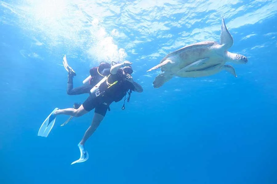 Hotell Jasmine Palace Resort i Hurghada, Egypten - Bild 14