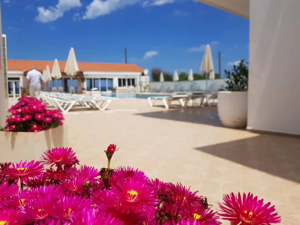 Hotell Kasapakis Apartment  i Crete, Grekland - Bild 16