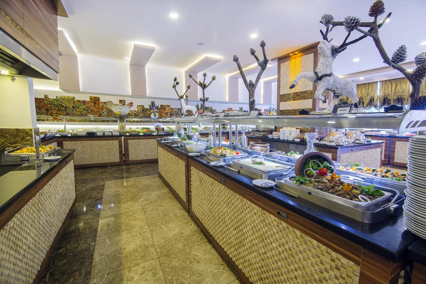 Hotell Kleopatra Royal Palm Hotel i Antalya, Turkiet - Bild 22