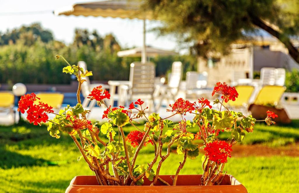 Hotell Matzi Apartments i Crete, Grekland - Bild 9