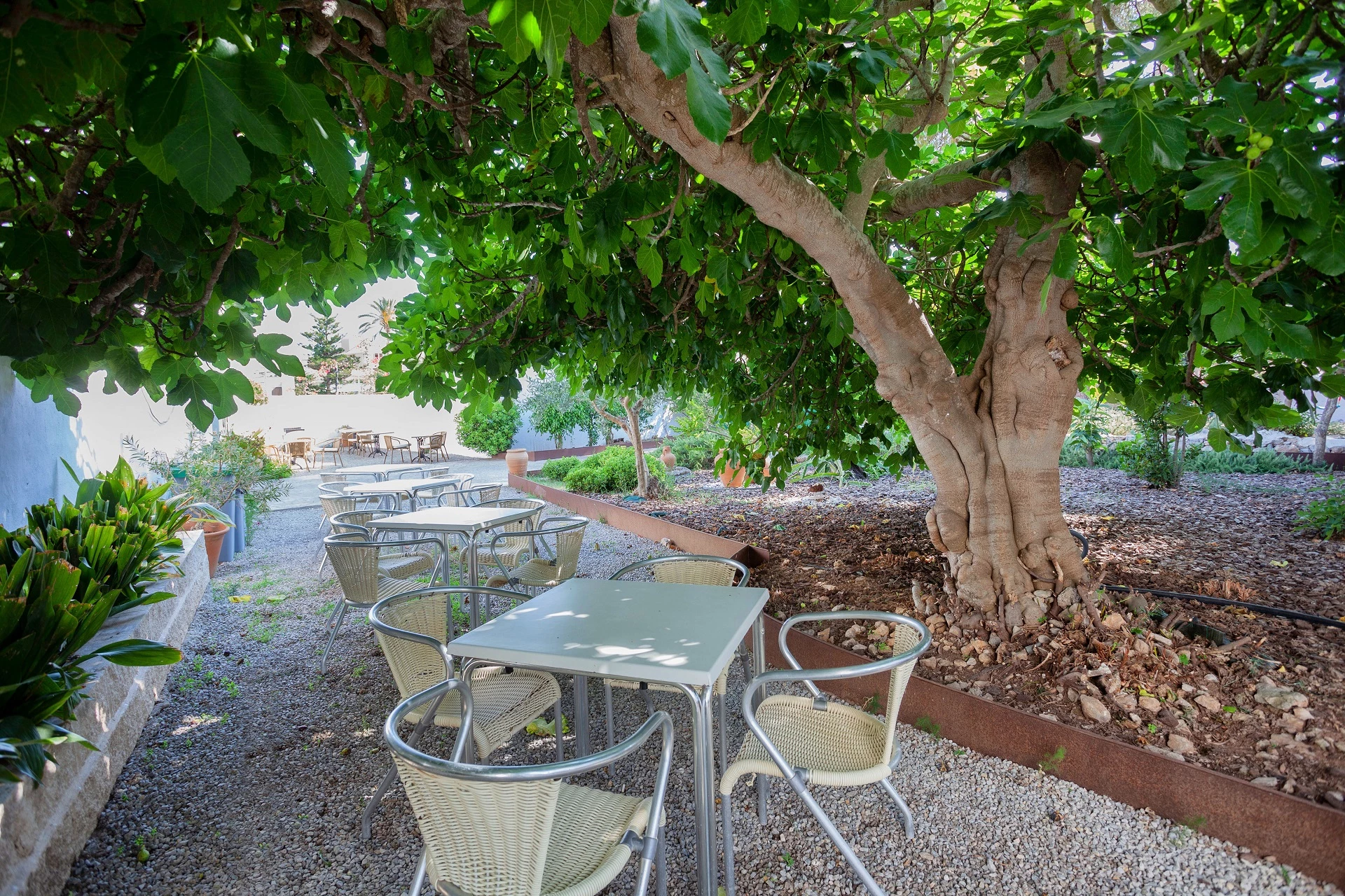 Hotell Petit Garden Hotel by Flacalco i Mallorca, Spain - Bild 8