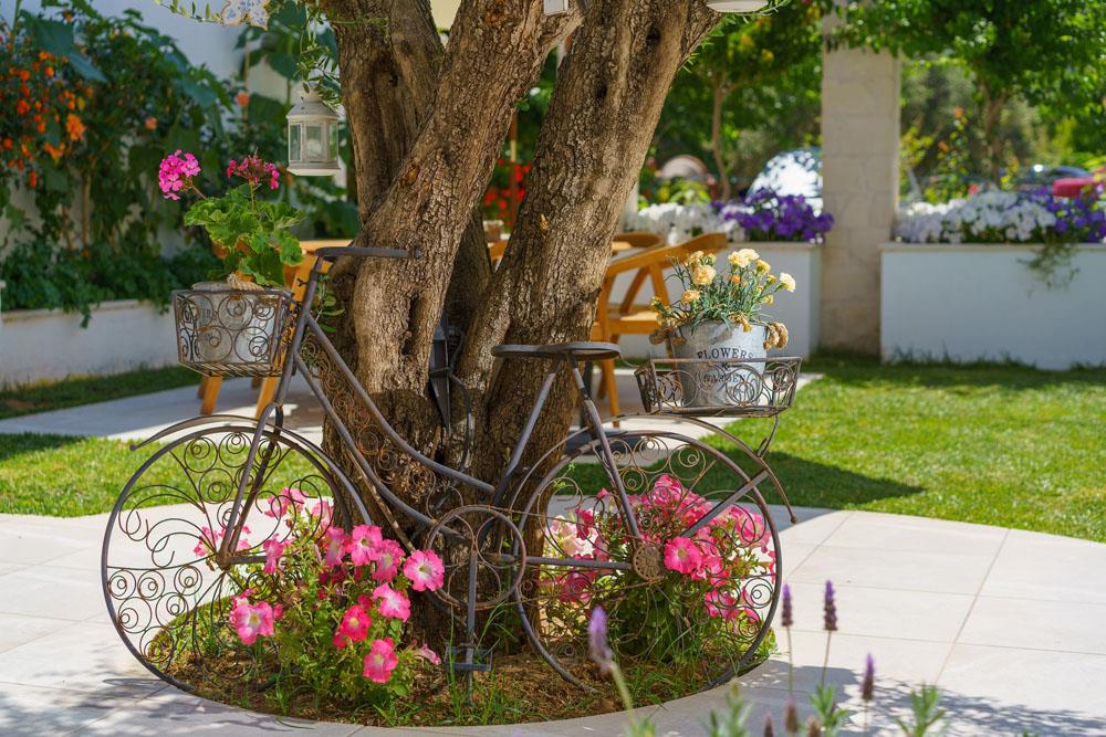 Hotell Sonio Beach Hotel i Crete, Grekland - Bild 22