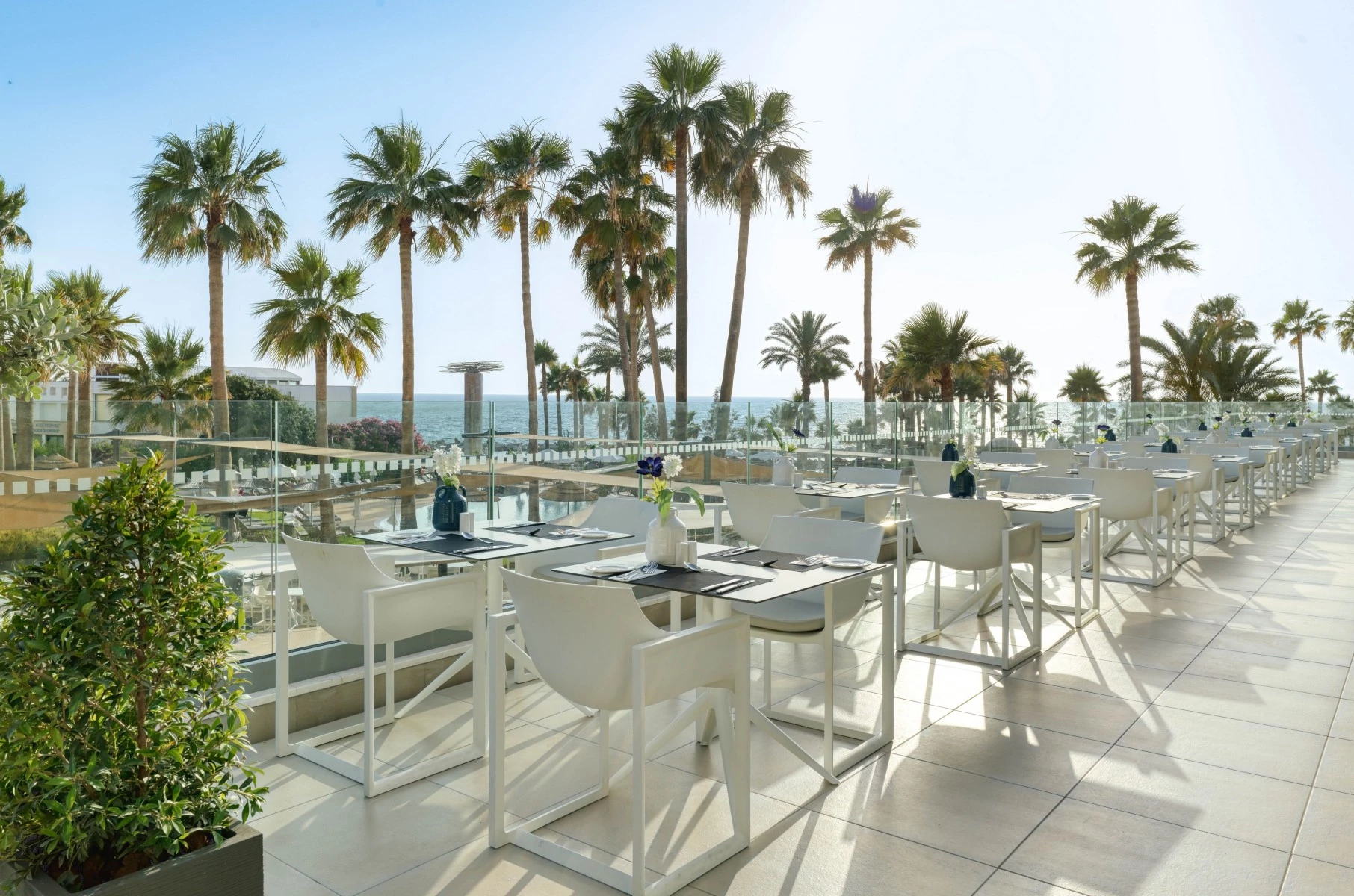 Hotell St. George Beach Hotel & Spa Resort i Cypern, Cyprus - Bild 20