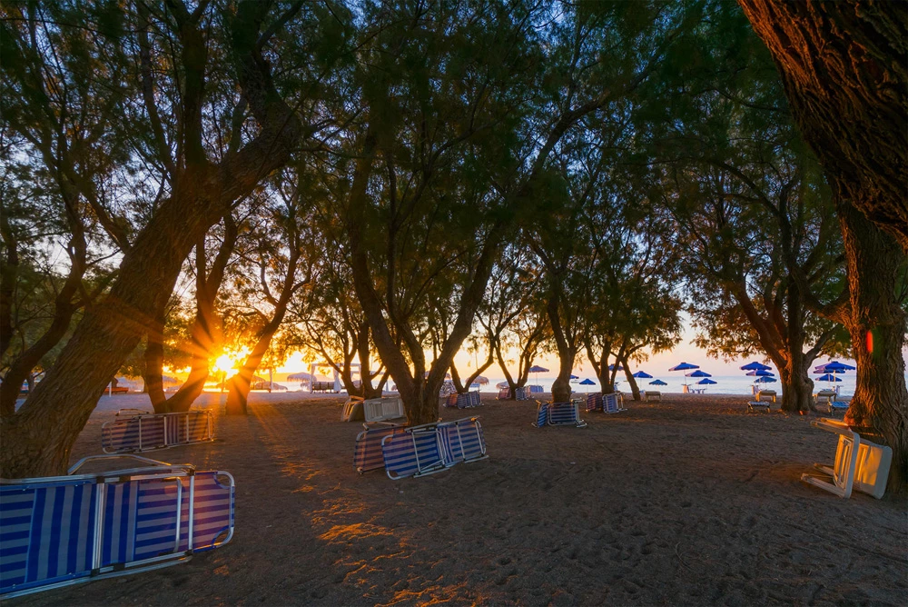 Hotell Stafilia Beach Hotel i Rhodes, Grekland - Bild 14