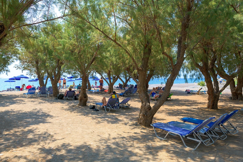 Hotell Stafilia Beach Hotel i Rhodes, Grekland - Bild 20