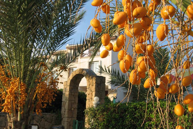 Hotell Topset Hotel i North Cyprus, Cyprus - Bild 3