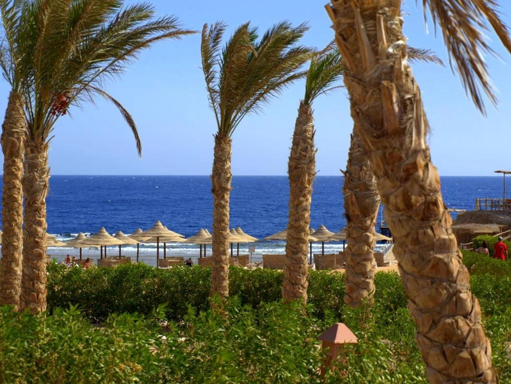 Hotell Viva Blue Resort & Diving Sports i Hurghada, Egypten - Bild 7